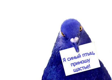 Птица поздравление с днём рождения Птица поздравление с днём рождения
